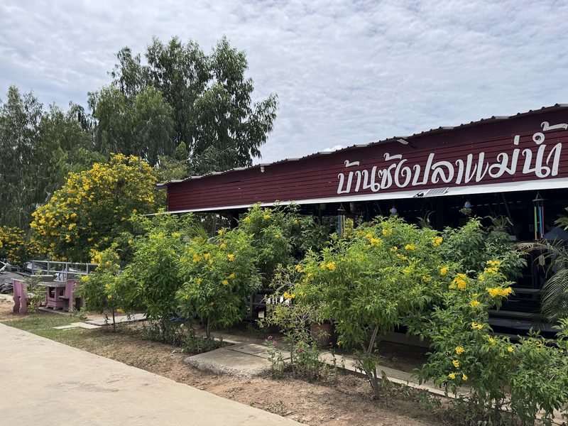 หน้าร้านฝั่งริมแม่น้ำ ป้ายบ้านซ้งปลาแม่น้ำ และพุ่มไม้ดอกสีเหลือง